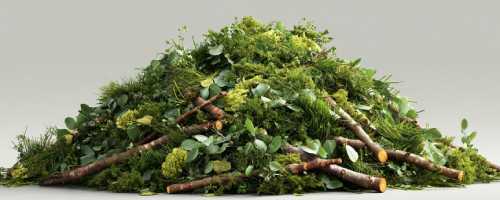 Grünschnitt Entsorgung Bruchköbel